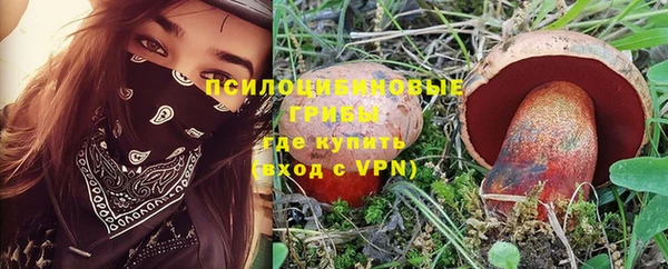 spice Рославль