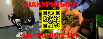 гидра Новозыбков
