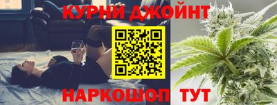 гидра Новозыбков