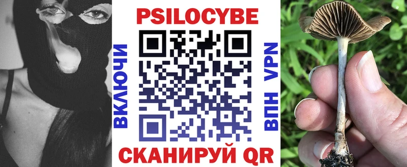 Псилоцибиновые грибы Psilocybine cubensis  блэк спрут онион  Прокопьевск 