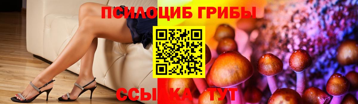 Галлюциногенные грибы Cubensis  Вход с VPN  Прокопьевск 